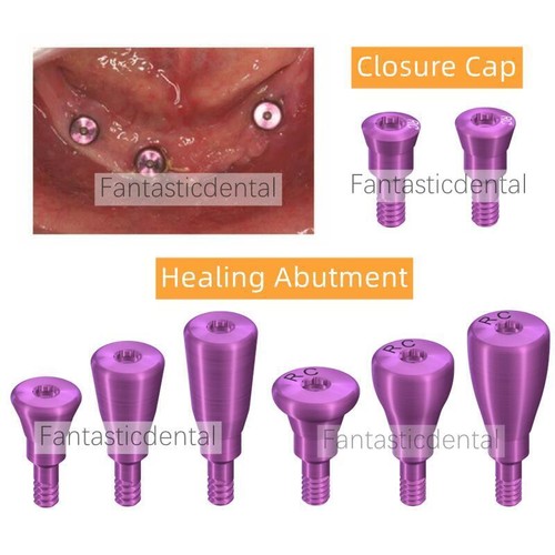 Chiusura dental healing - chiusura,